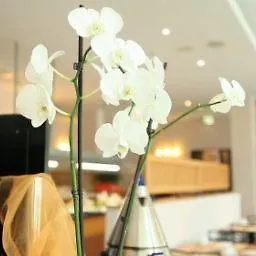 Maxx Sanssouci 波茨坦